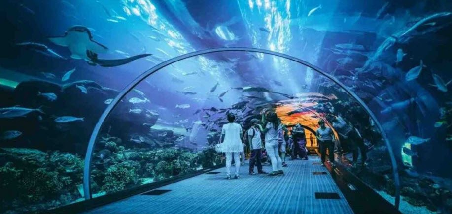 Taraporewala Aquarium